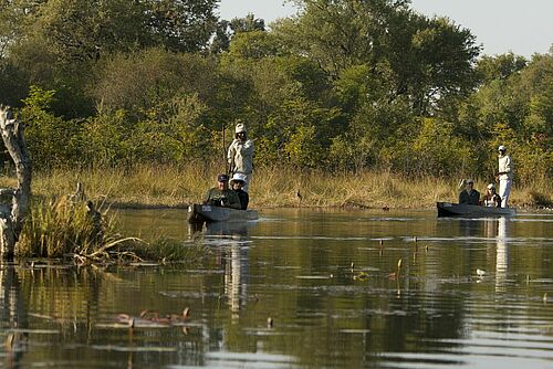 Okavango, Camping, Safari, Mobile Camp, Botswana, Mokoro