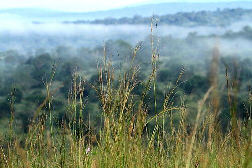 Herrliche Landschaft im Lake Mburo Nationalpark