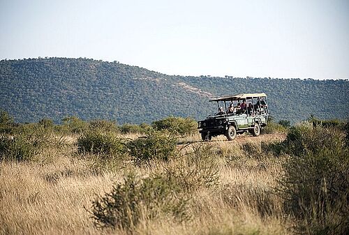 Safari-Fahrzeug in der unberührten Natur Madikwes