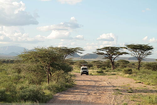 Luxus, Flugsafari, Safari, Kenia, Meru, Meru Nationalpark, Jeep