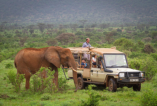Safari Aktivitäten im Elephant Bedroom Camp im Samburu Nationalpark in Kenia