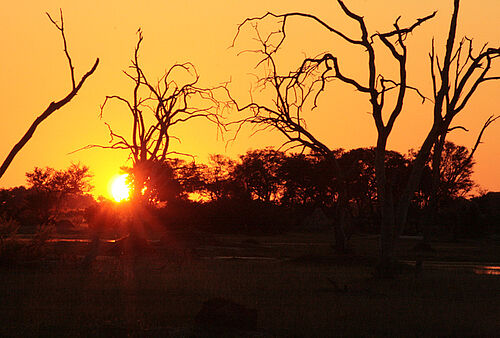 Botswana, Best Value, Safari, Sonnenuntergang