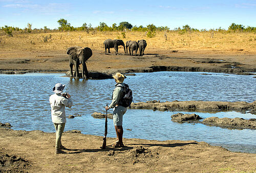 Zwei Männer sehen sich einen Elefanten an einem Fluss an
