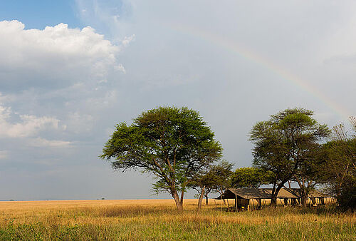 Nomad Serengeti Safari Camp in der Serengeti