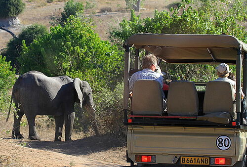 Safari Fahrzeug begegnet Elefant in Botswana