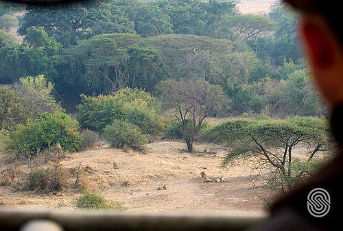 Kirawira Serena Camp in der Serengeti