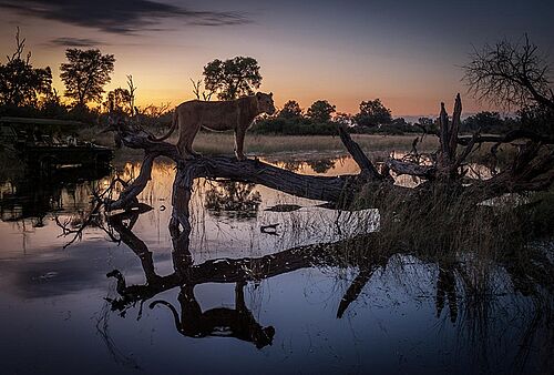 Chitabe in Botswana