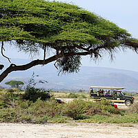 Safari-Fahrzeug im Amboseli Nationalpark in Kenia