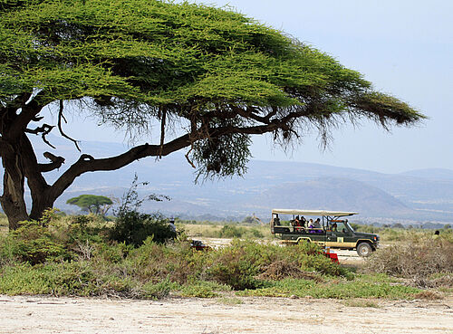 Safari-Fahrzeug im Amboseli Nationalpark in Kenia