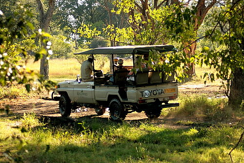 Safari Fahrzeug in Botswana