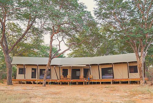 Verneys Camp Hwange Nationalpark