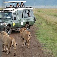 Abenteuer Ostafrika