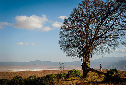 Entamanu Ngorongoro Camp in Ngorongoro