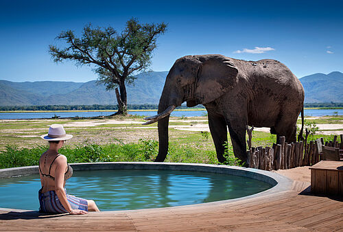Eine Frau sitzt am Pool und sieht auf einen Elefanten, der ihr ganz nahe steht