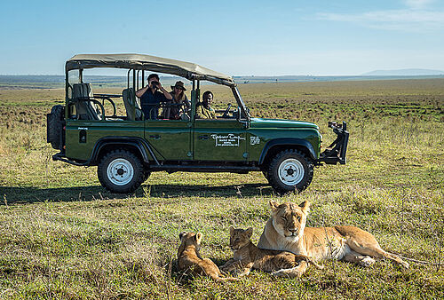 Safari Aktivitäten im Little Governors Camp in der Masai Mara in Kenia