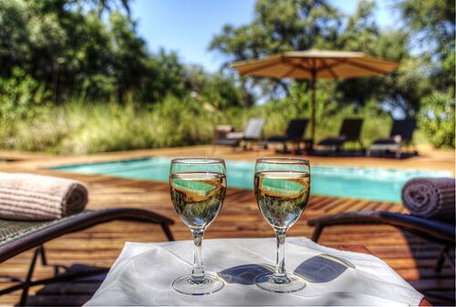 Drinks am Pool im Camp Moremi in Botswana