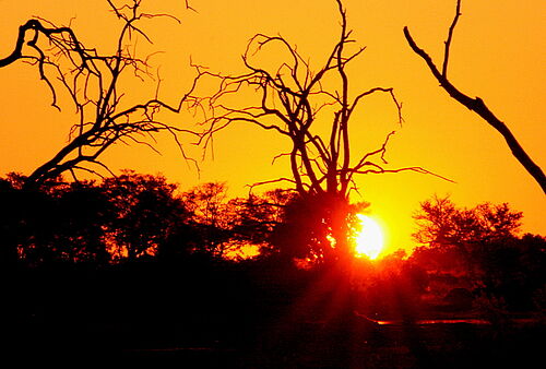 Afrikanischer Sonnenuntergang in Botswana
