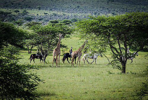Ol Donyo Lodge im Chyulu Hills Nationalpark in Kenia