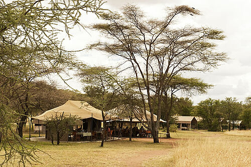 Kati Kati Camp in der zentralen Serengeti