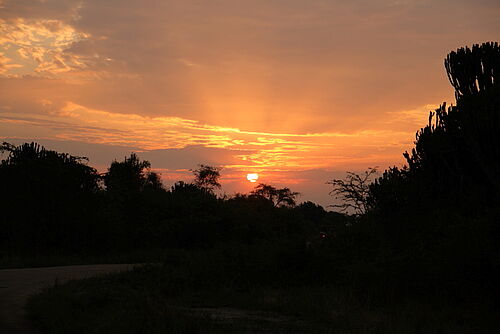 auf den Spuren der Primaten, Safari, Uganda, Sonnenuntergang