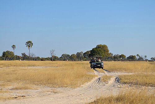 Tusk and Mane Safaris im Lower Zambezi Nationalpark in Sambia