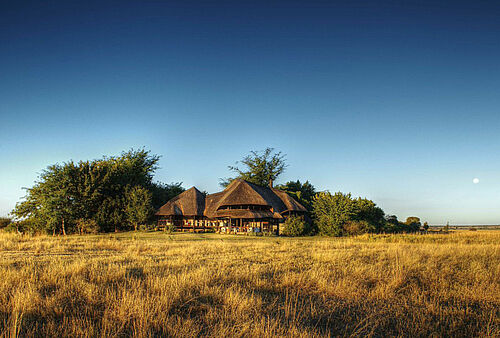 Chobe Savanna Lodge in Botswana