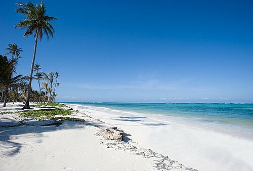 Zanzibar Collection Baraza Resort and Spa auf Sansibar - Strand