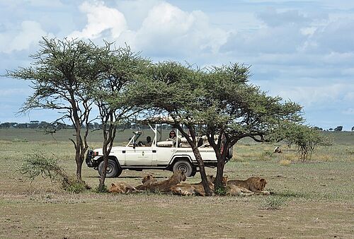 Kusini Camp in der Serengeti
