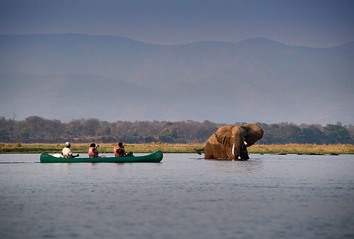 Drei Menschen beobachten aus einem Boot einen Elefanten im Wasser