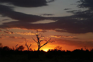 Afrikanischer Sonnenuntergang in Botswana