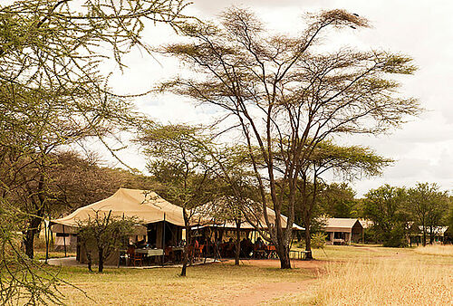 Kati Kati Migration Camp in der Serengeti