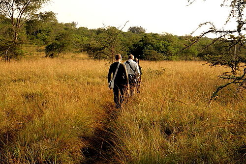 Abenteuer, Uganda, Safari, Lake Mburo, Fußpirsch