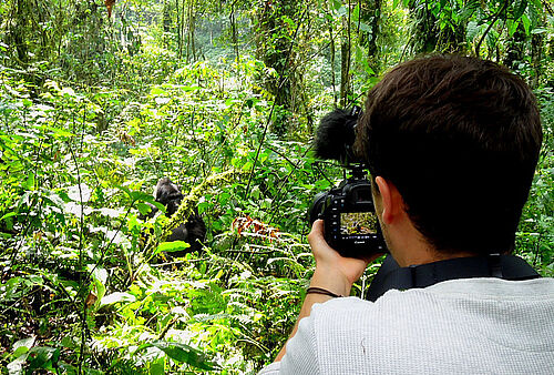 Uganda, Bwindi, Flugsafari, Gorillas hautnah, Gorillas, Trekking, Fotograf