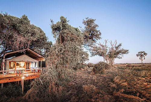 Rra Dinare Camp in Okavango Delta in Botswana