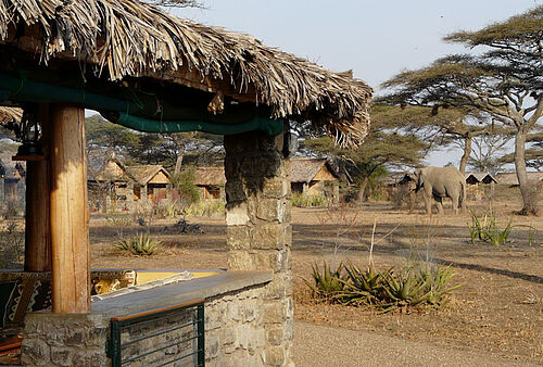 Ndutu Safari Lodge in der südlichen Serengeti
