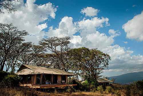 Entamanu Ngorongoro Camp in Tansania