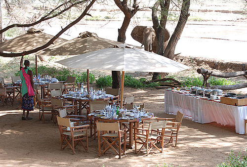 Elephant Bedroom Camp im Samburu Nationalpark in Kenia