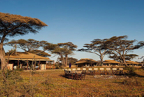 Mara Under Canvas in der Serengeti
