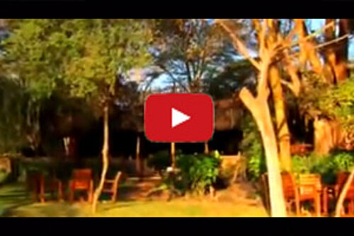 Video Vorschau für die Amboseli Serena Lodge im Amboseli Nationalpark in Kenia