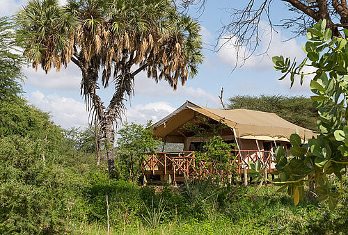 Luxuriöse Safari Zelte im Elephant Bedroom Camp im Samburu Nationalpark in Kenia