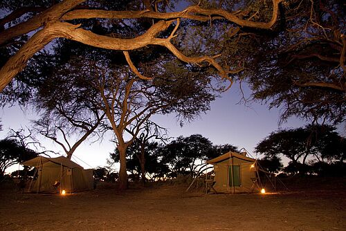 Lodge, Hausboot, Mobile, Camping, Gruppensafari, Safari, Botswana, Moremi