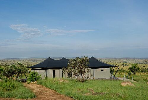 Mara Mara Tented Camp in Tansania