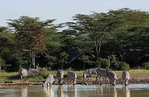 Sweetwaters Tented Camp in Kenia