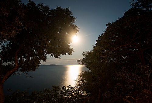 Rubondo Island bei Lake Victoria im Rubondo Island Nationalpark