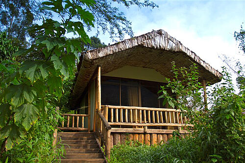 Engagi Lodge Bwini in Uganda