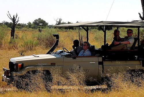 Best of, Botswana, Deluxe, Safari, Okavango, Delta, Jeep