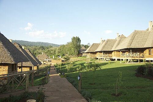 Exploreans Ngorongoro Lodge in Ngorongoro