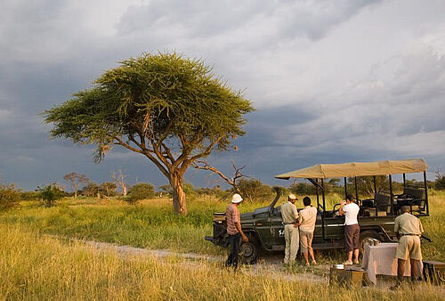 Botswana, Deluxe, Safari, Jeep, Okavango, Moremi