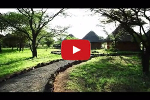 Video Vorschau Severin Safari Camp im Tsavo West Nationalpark in Kenia