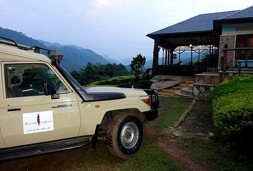 Abenteuer, Uganda, Safari, Bwindi, Jeep